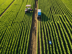Maximizing Yield Through Data-driven, Localized Farming Decisions.